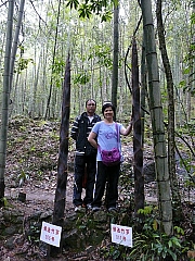 Thumbnail of pic_Wai_367.JPG