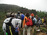 Thumbnail of IMG_3376.JPG