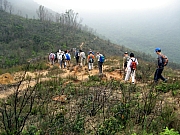 Thumbnail of P4110033.JPG