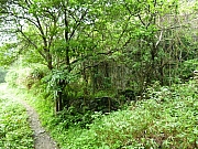 Thumbnail of pic_Wai_143.JPG