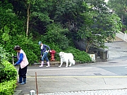 Thumbnail of pic_Wai_019.JPG