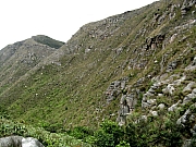 Thumbnail of P4250051.JPG