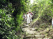 Thumbnail of P4250059.JPG