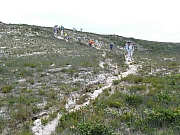 Thumbnail of PIC_Wai_063.JPG