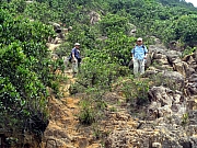 Thumbnail of P5090116.JPG