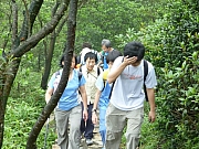 Thumbnail of pic_Wai_34.JPG