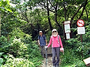 Thumbnail of P6060108.JPG