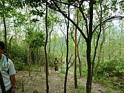 Thumbnail of PIC_Wai_022.JPG