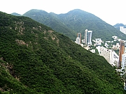 Thumbnail of P6200103.JPG