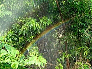 Thumbnail of P7030139.JPG