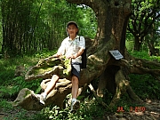 Thumbnail of pic_PC_Liang_11.JPG