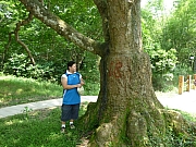 Thumbnail of pic_Wai_056.JPG