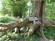 Thumbnail of pic_Wai_061.JPG