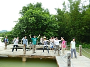 Thumbnail of pic_Wai_089.JPG