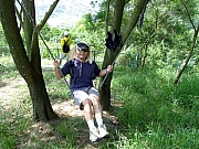 Thumbnail of pic_Wai_0711045.JPG