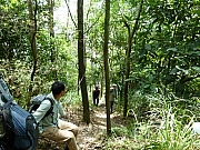 Thumbnail of pic_Wai_0711065.JPG