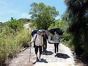 Thumbnail of P7180110.JPG