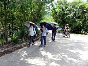 Thumbnail of P8080200.JPG