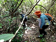 Thumbnail of P8220006.JPG