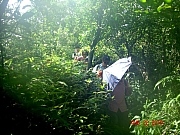Thumbnail of pic_PK_Liang_01.JPG