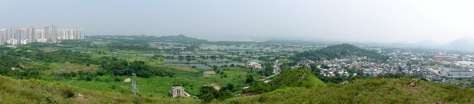 P8290059-1.JPG (541002 bytes)