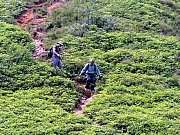 Thumbnail of P8290061.JPG
