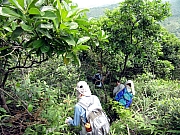 Thumbnail of P9050063.JPG