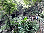Thumbnail of P9260050.JPG