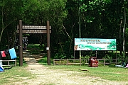 Thumbnail of pic_CC_Li_73.JPG