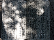 Thumbnail of PA170045.JPG