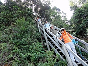Thumbnail of PA240132.JPG