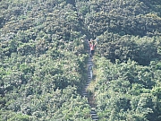 Thumbnail of pic_Lui_24.JPG