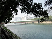 Thumbnail of PB070002.JPG