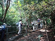 Thumbnail of PIC_PK_Liang_33.JPG
