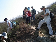 Thumbnail of PIC_PK_Liang_79.JPG