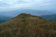 Thumbnail of pic_CC_Li_107.JPG