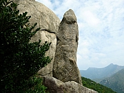 Thumbnail of pic_Wai_072.JPG