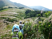 Thumbnail of pic_Wai_092.JPG