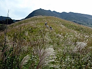 Thumbnail of pic_Wai_095.JPG