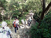 Thumbnail of PB210078.JPG