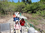 Thumbnail of PB210127.JPG