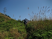 Thumbnail of pic_CC_Li_19.JPG