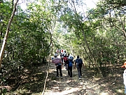 Thumbnail of PC050043.JPG