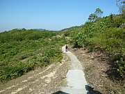 Thumbnail of pic_Wai_46.JPG