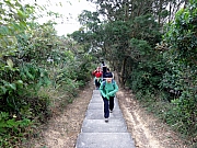 Thumbnail of PC120011.JPG