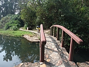 Thumbnail of pic_Lui_049.JPG