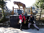 Thumbnail of PC250159.JPG