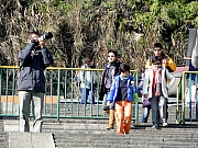 Thumbnail of PC250380.JPG