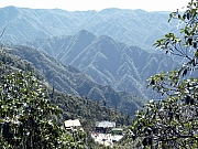 Thumbnail of pic_Wai_242.JPG