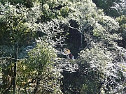 Thumbnail of pic_Wai_309.JPG